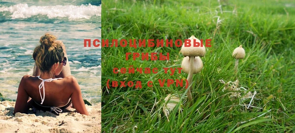 мескалин Дмитриев