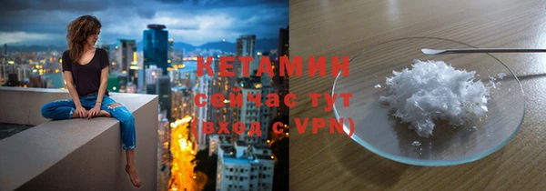 индика Дмитровск