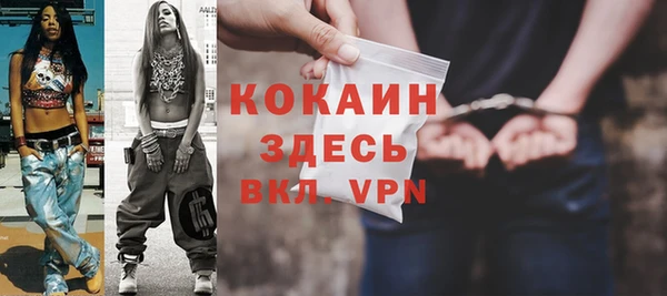 индика Дмитровск