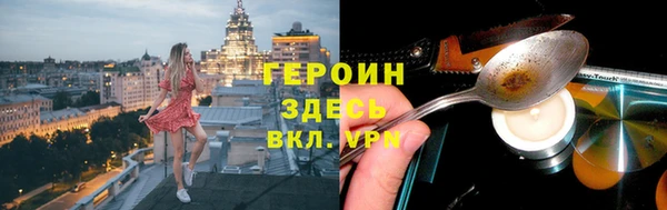 индика Дмитровск