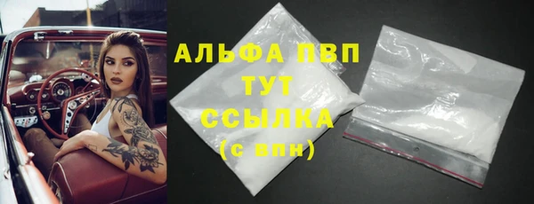 индика Дмитровск