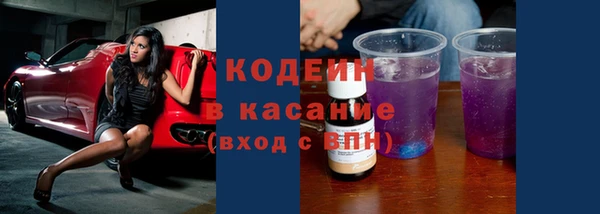 индика Дмитровск