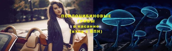 индика Дмитровск