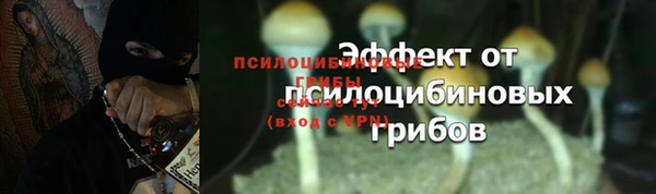 мескалин Дмитриев