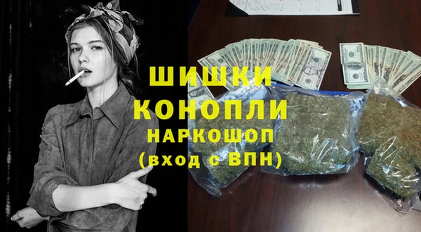 индика Дмитровск