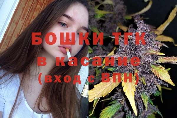 индика Дмитровск