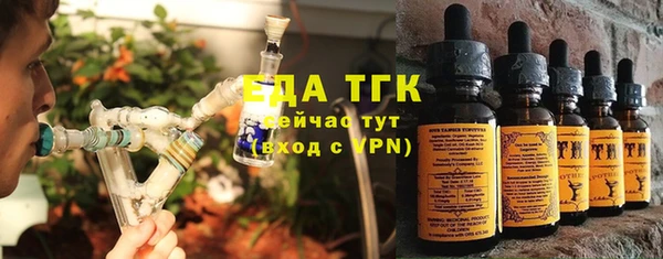 индика Дмитровск
