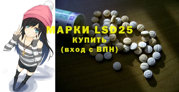 индика Дмитровск