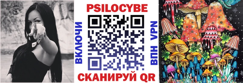 Псилоцибиновые грибы Magic Shrooms  Купить закладки  Каргополь 